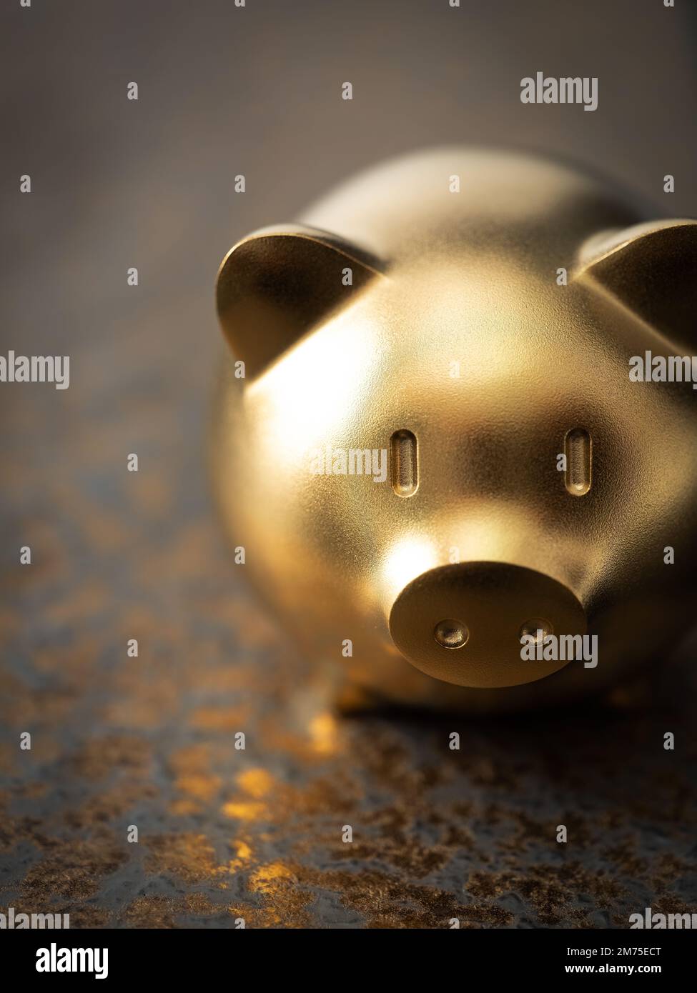 Sparschwein auf schwarzem Hintergrund Stockfoto