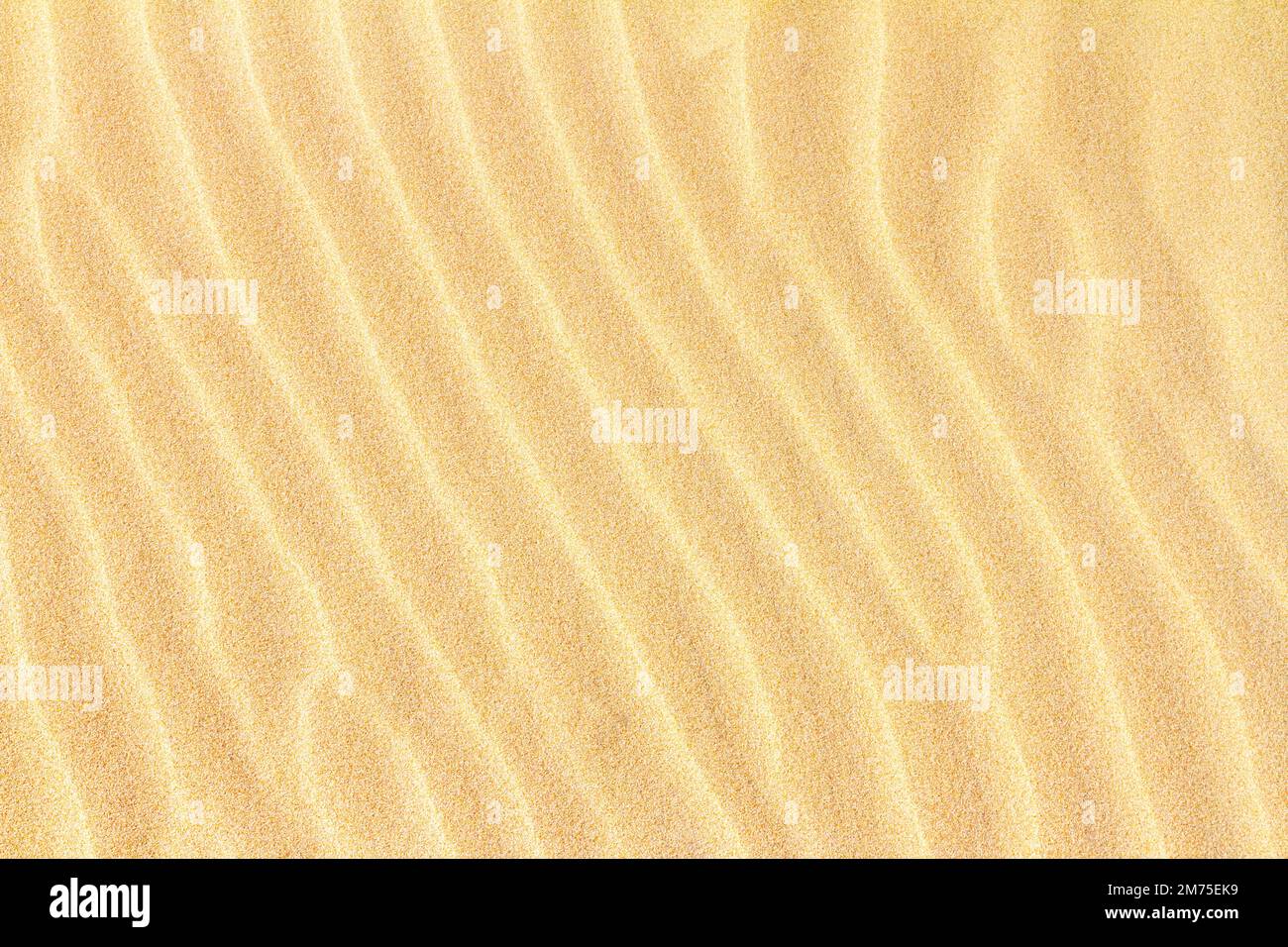 Gewellter Sand an der Küste, geformt durch Wind und Wasser, Hintergrund, Textur, Muster, Banner Stockfoto