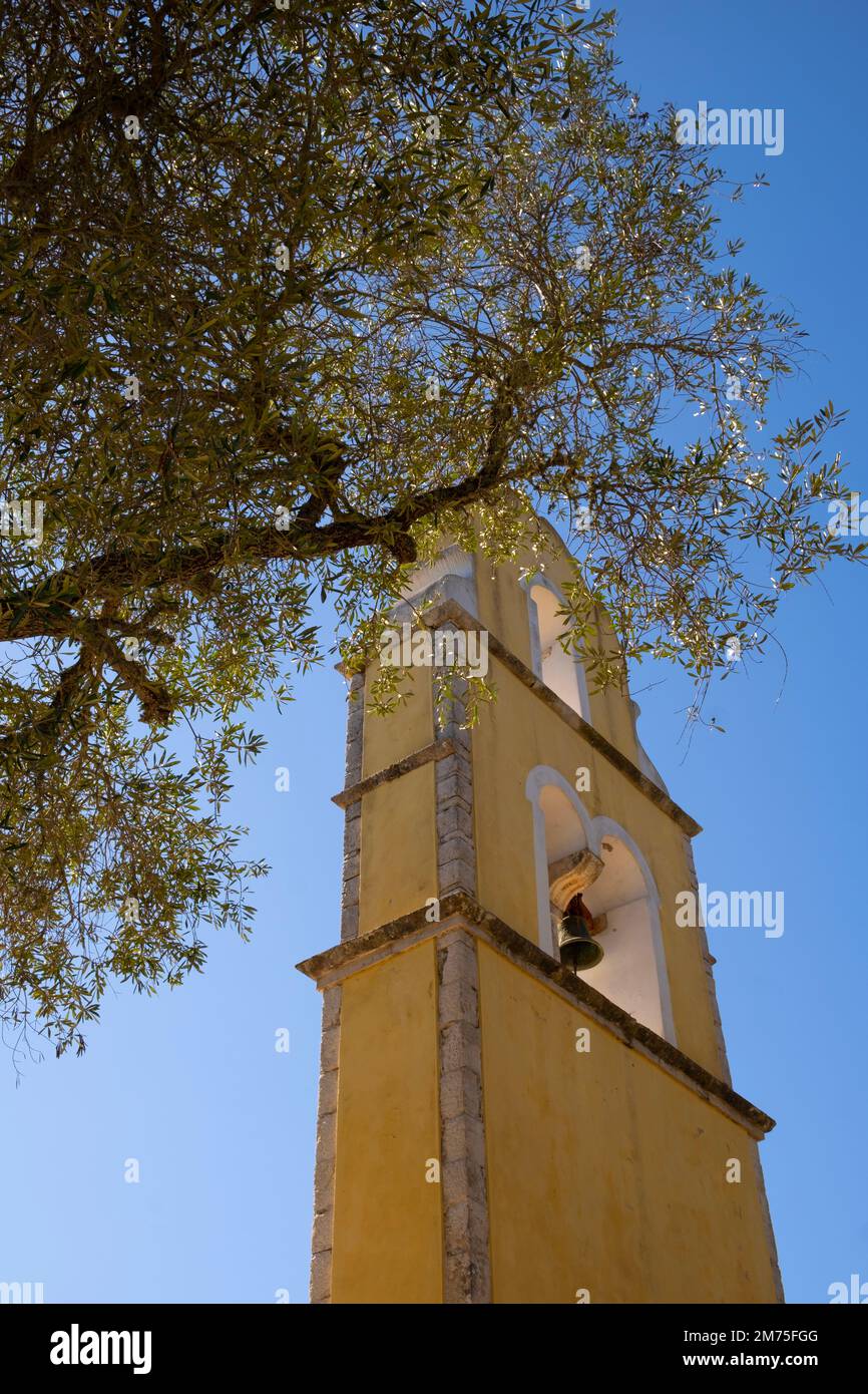 Ein Olivenbaum neben dem Glockenturm von Agioas Konstantinos, Paxos, Ionischen Inseln, griechischen Inseln, Griechenland Stockfoto