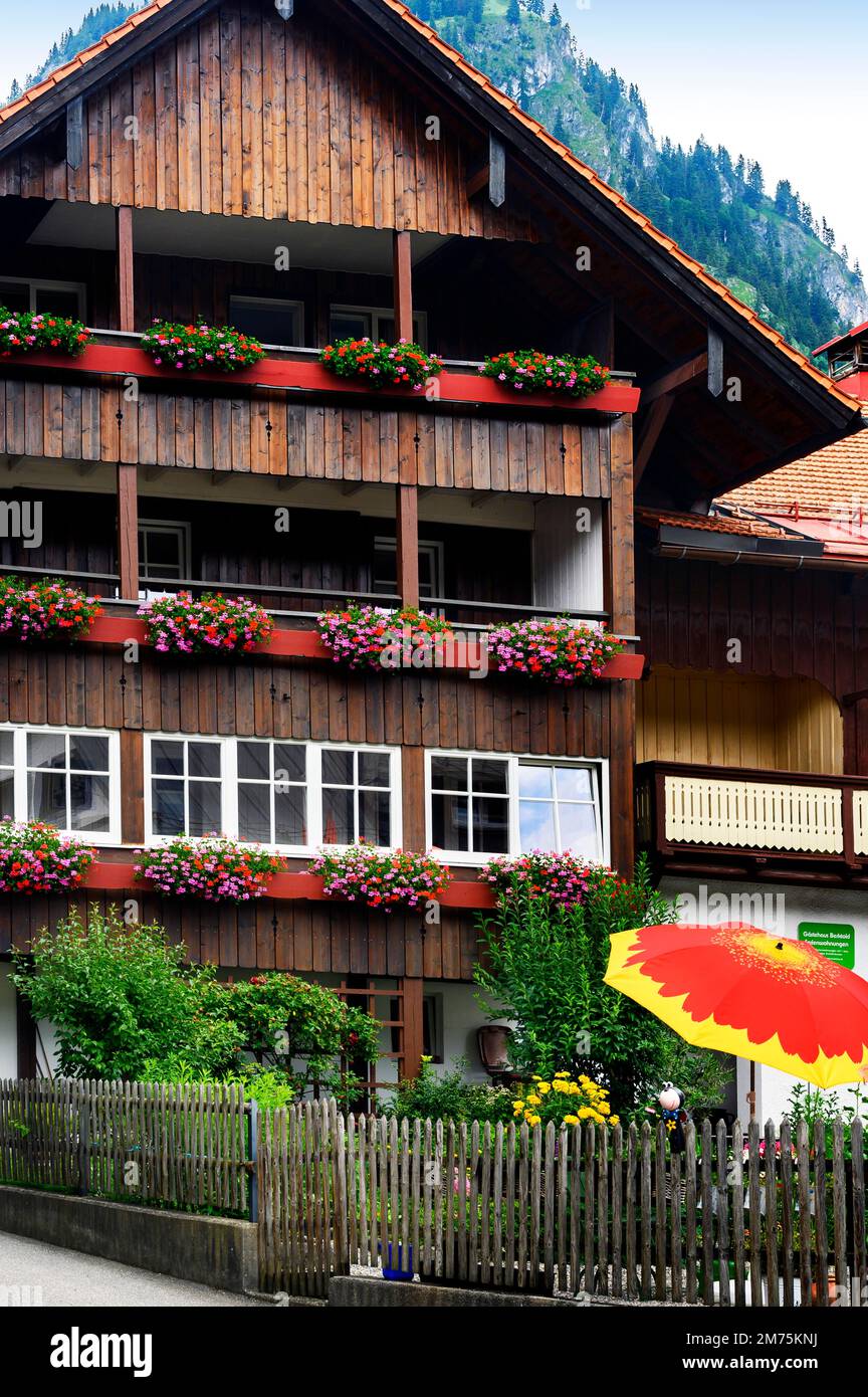 Holzfassade mit Geranien (Pelargonium) und Hindelang