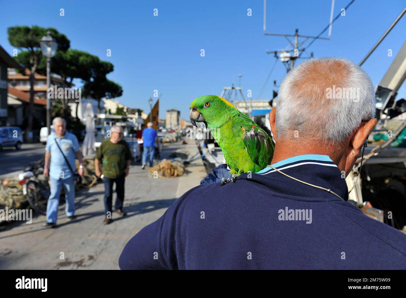 Als ich den Kanalhafen von Cervia entlang ging, traf ich diesen Herrn mit seinem Papagei auf der Schulter, Provinz Ravenna, Italien Stockfoto