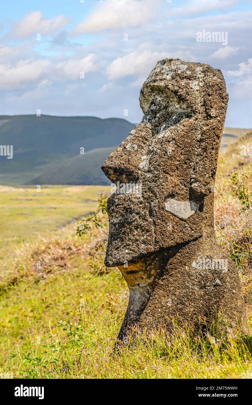 Individuelle Moai-Skulptur im Rano Raraku auf der Osterinsel Chile Stockfoto