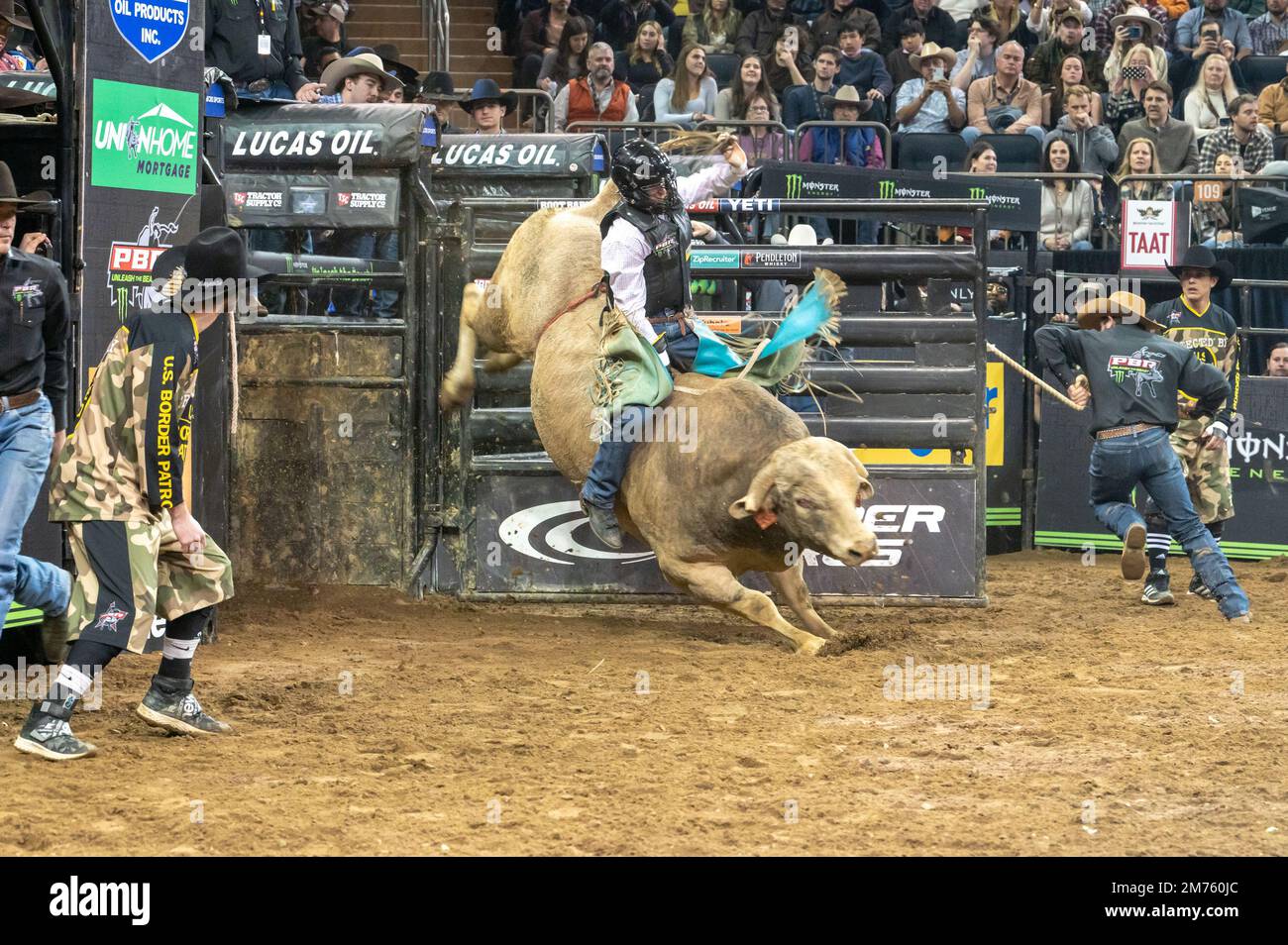 New York, New York, USA. 6. Januar 2023. (NEU) 2023 Professional Bull Riders entfesseln das Biest im Garten. 06. Januar 2023, New York, New York, USA: Cole Melancon reitet während des Professional Bull Riders 2023 Unleash the Beast Event im Madison Square Garden am 6. Januar 2023 in New York City auf Top Dollar. Kredit: M10s/TheNews2 (Kredit: © M10s/TheNEWS2 über ZUMA Press Wire) Stockfoto