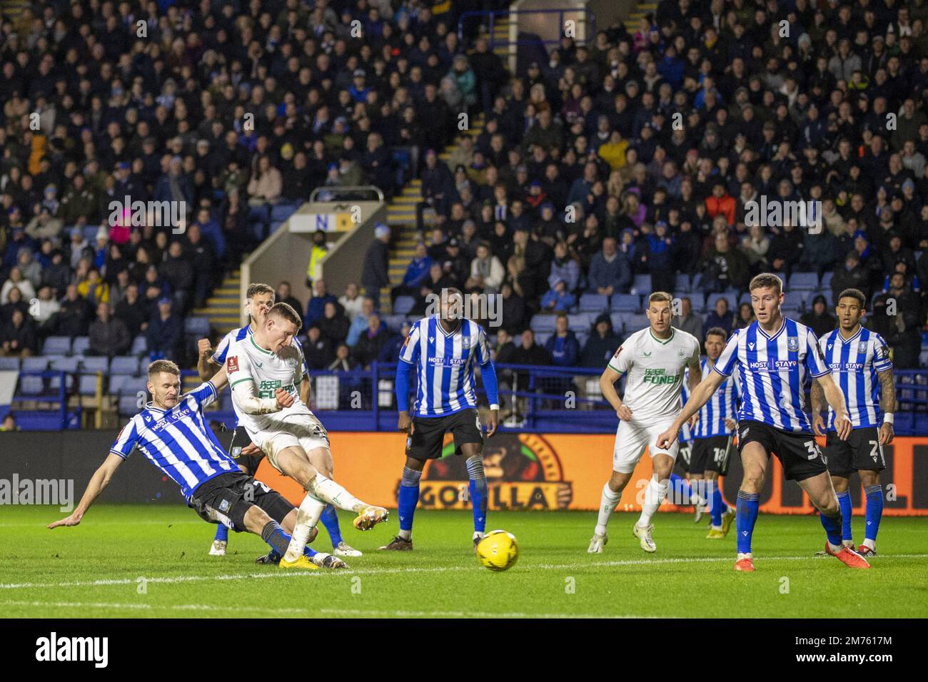 Sheffield, Großbritannien. 07. Januar 2023. SHEFFIELD, ENGLAND - JANUAR 7: Matt Ritchie von Newcastle United schießt am 7. Januar 2023 in Sheffield, Vereinigtes Königreich, beim FA Cup zwischen Sheffield Wednesday und Newcastle United in Hillsborough. (Foto: Richard Callis/SPP) (Foto: Richard Callis/Sports Press Photo/C - FRIST VON EINER STUNDE - FTP NUR AKTIVIEREN, WENN BILDER WENIGER ALS EINE STUNDE ALT sind - Alamy) Guthaben: SPP Sport Press Photo. Alamy Live News Stockfoto