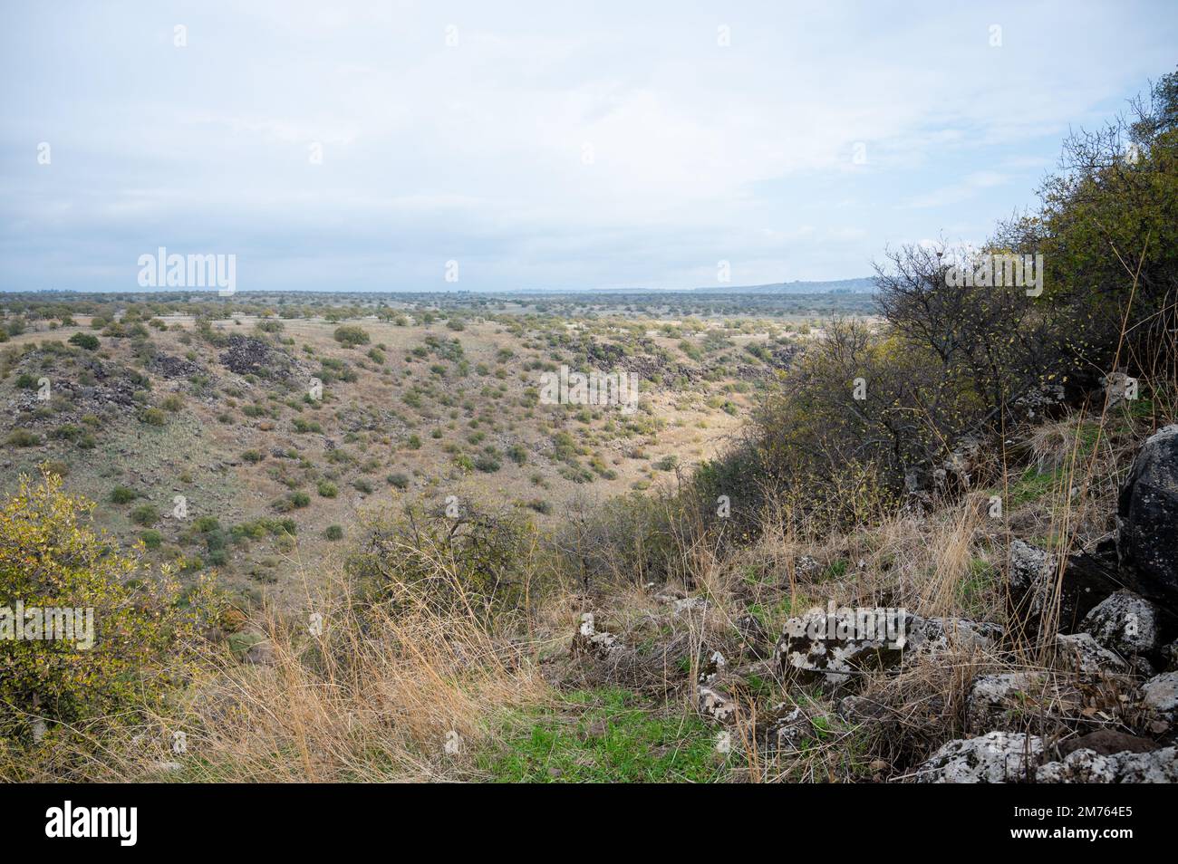 Das Yehudiya Forest Reserve ist ein Naturschutzgebiet in den zentralen Golan Heights. Israel Park. Stockfoto