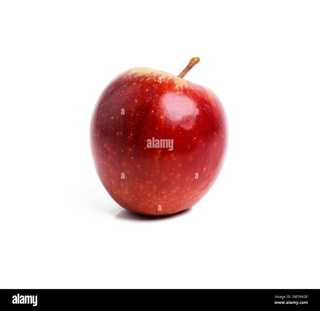 Die erste Versuchung. Studiofoto eines roten Apfels isoliert auf Weiß. Stockfoto