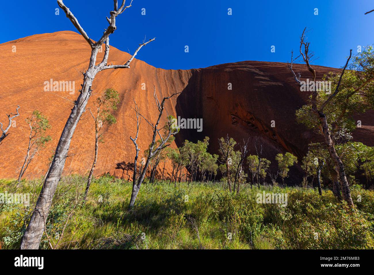 Outback, Australien - 12. November 2022: Blick aus nächster Nähe auf rote Sandsteinfelsen im Zentrum von Australien. Der Uluru oder Ayers Rock im nördlichen Terri Stockfoto