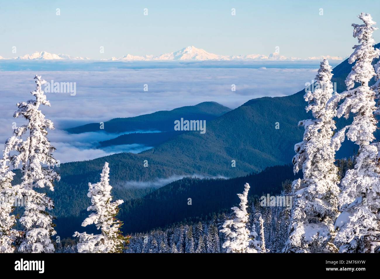 Schnee am Hurricane Ridge, Olympic National Park, Washington State, USA Stockfoto