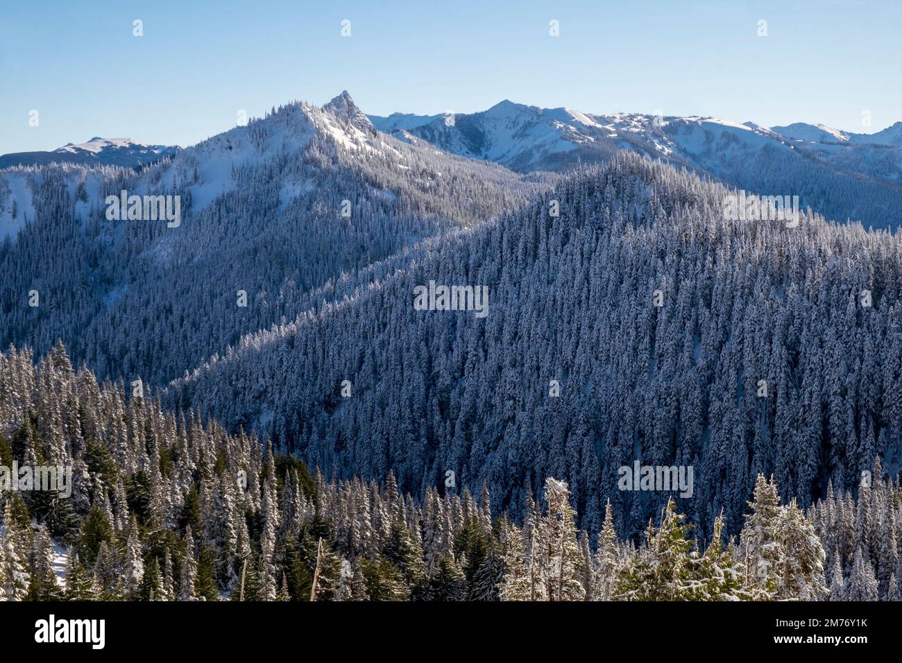 Schnee am Hurricane Ridge, Olympic National Park, Washington State, USA Stockfoto