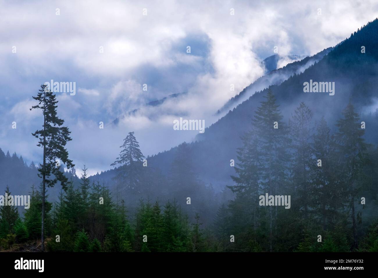 Neblige Berge im Olympic-Nationalpark im Bundesstaat Washington, USA Stockfoto