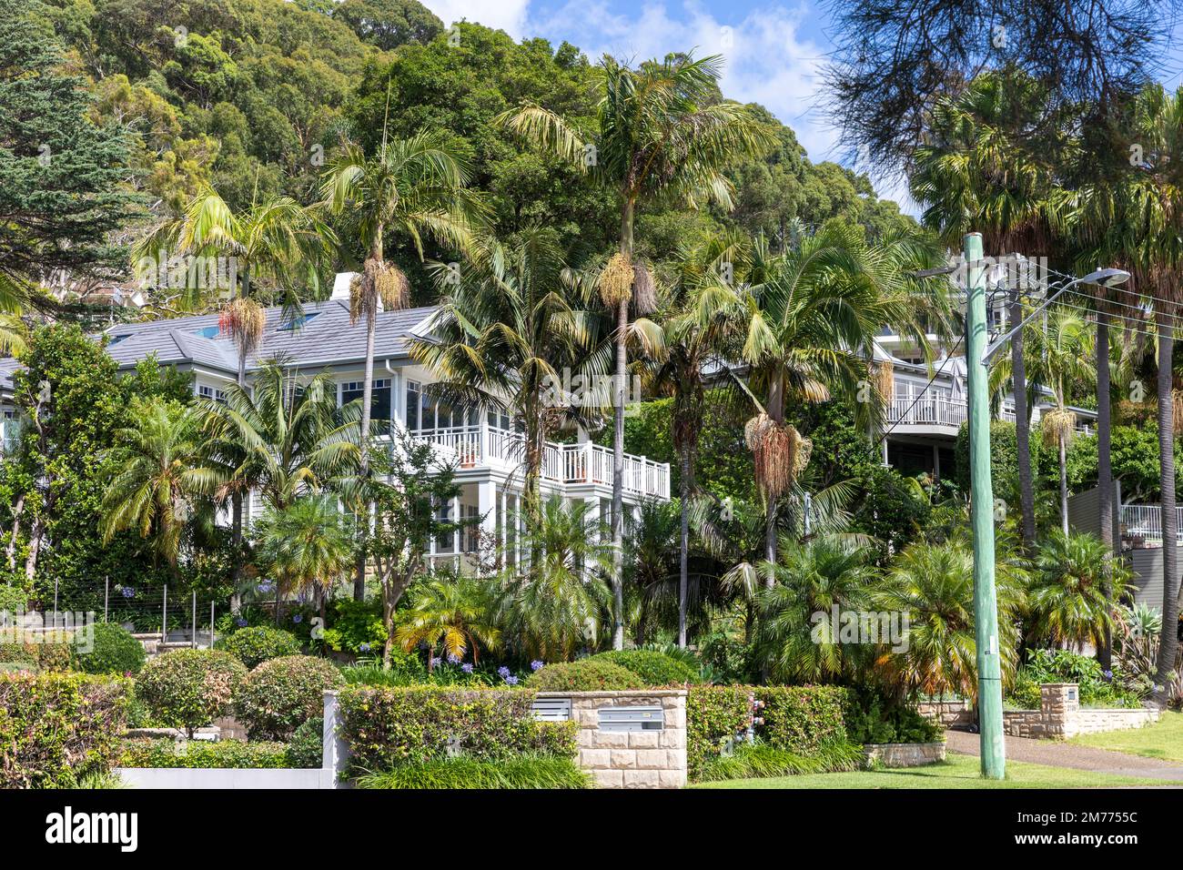 Große Einfamilienhäuser in Bayview Sydney, umgeben von üppigen tropischen Pflanzen und Gärten, Sydney, NSW, Australien Stockfoto