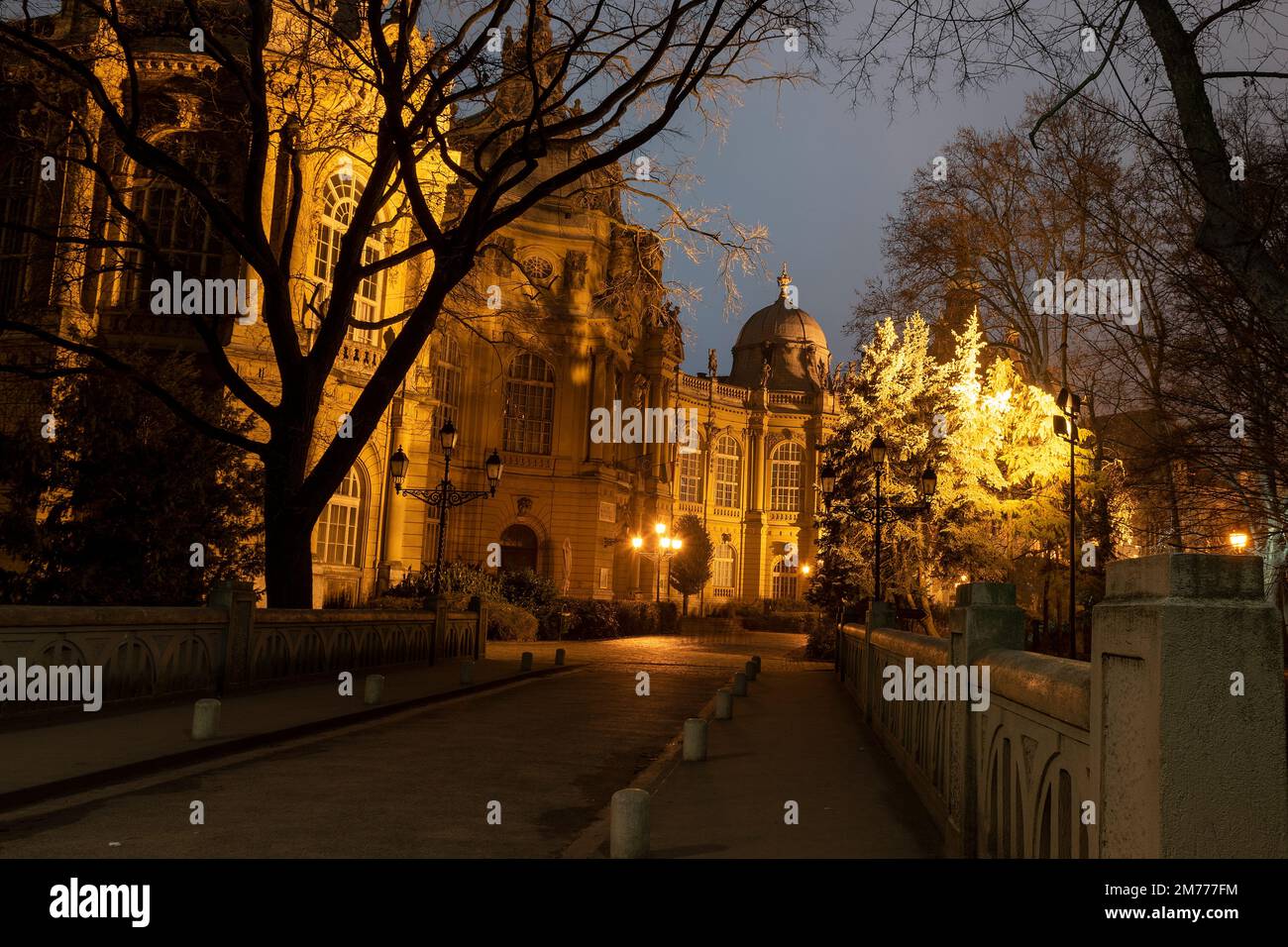 Budapest, Schloss Vajdahunyad bei Nacht Stockfoto