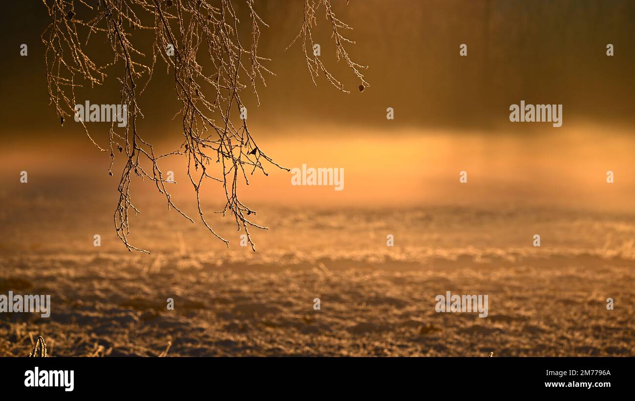 Der goldene glühende eisige Nebel liegt in einer ruhigen Sonnenuntergangsszene im Winter über einem Feld Stockfoto