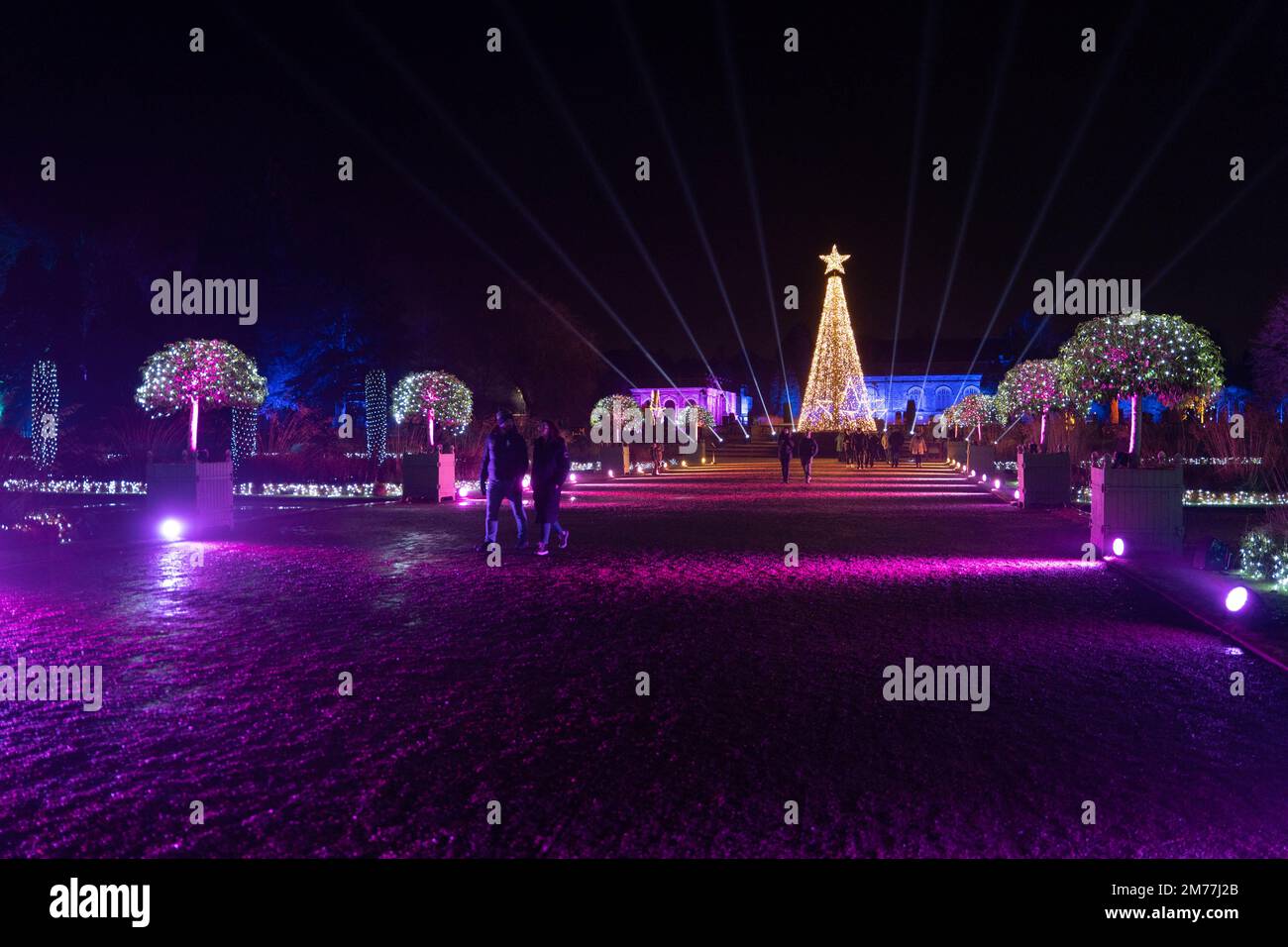 Spektakuläre Weihnachtsbeleuchtung mit beleuchtetem Baum und festlicher Dekoration in den Trentham Gardens Stockfoto Spektakuläre Weihnachtsbeleuchtung mit beleuchtetem Baum und festlicher Dekoration in den Trentham Gardens Stockfoto