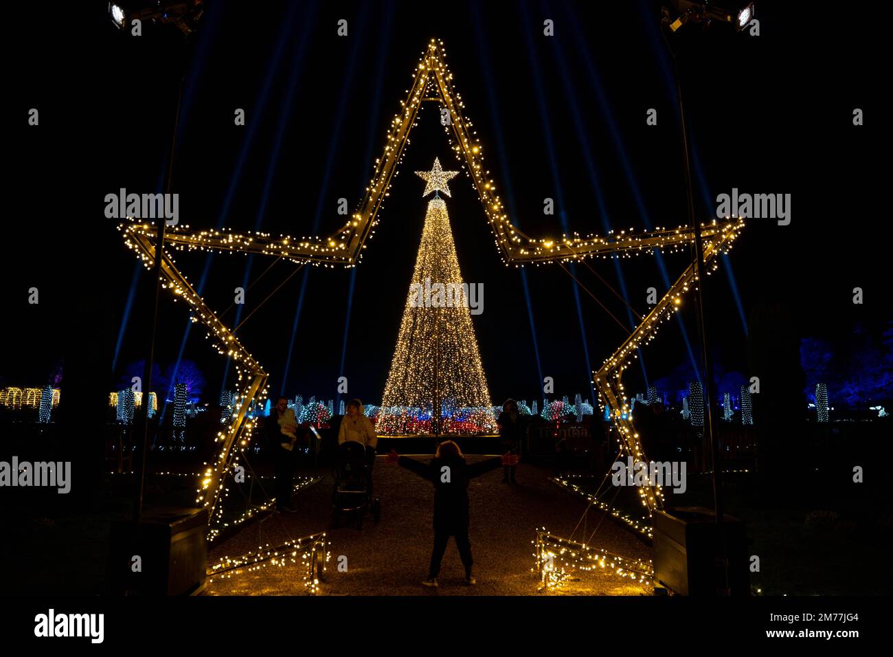 Spektakuläre Weihnachtsbeleuchtung mit beleuchtetem Stern und Baum in Trentham Gardens Stockfoto