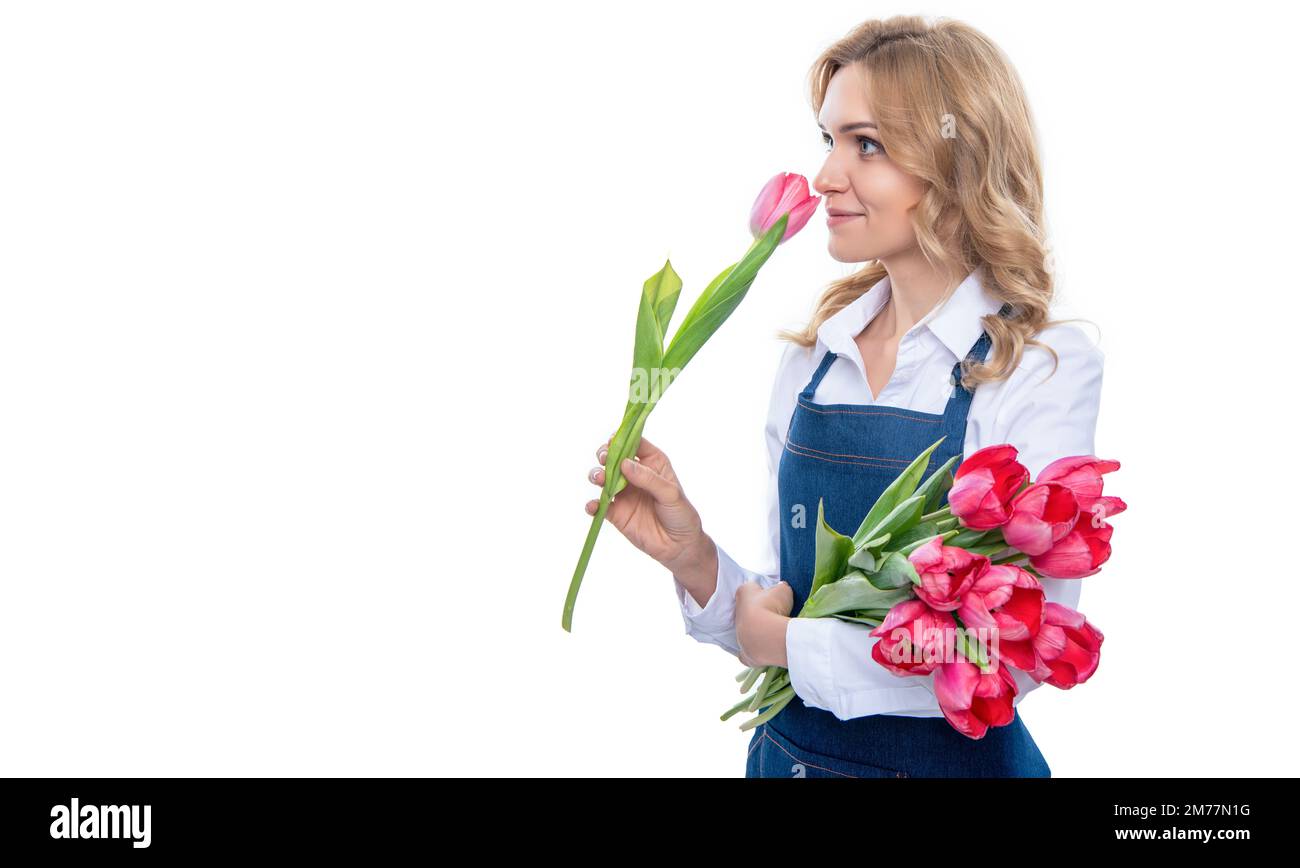 Glückliche junge Frau mit Schürze riecht Frühlings-Tulpenblüten isoliert auf weißem Hintergrund Stockfoto