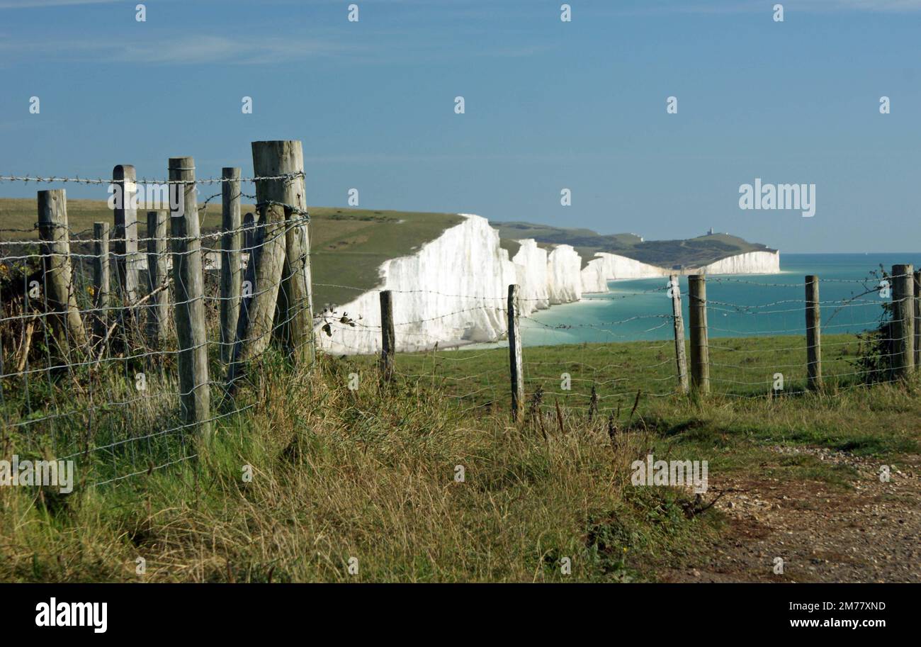 Sieben Schwestern Stockfoto