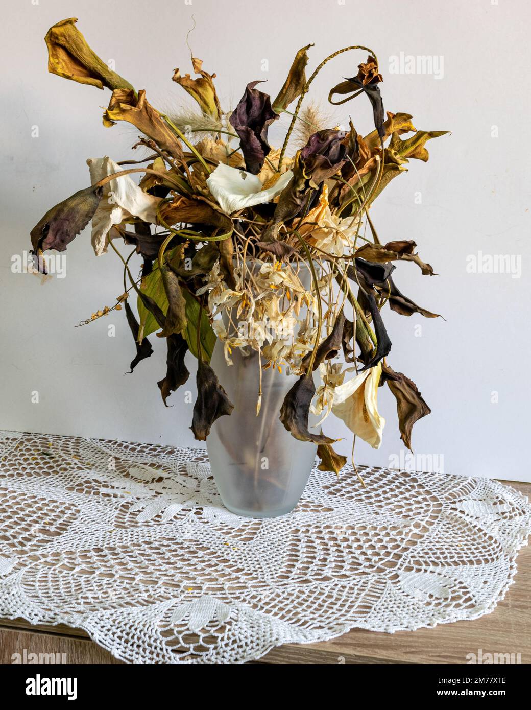 Foto mit Blumen in einer Vase, eine Zusammensetzung aus vielen verschiedenen Farben von trockenen, getrockneten Blumen und dekorativen trockenen Pflanzen Stockfoto