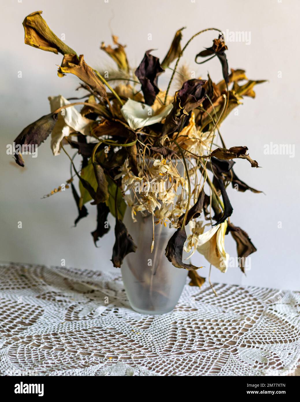 Foto mit Blumen in einer Vase, eine Zusammensetzung aus vielen verschiedenen Farben von trockenen, getrockneten Blumen und dekorativen trockenen Pflanzen Stockfoto