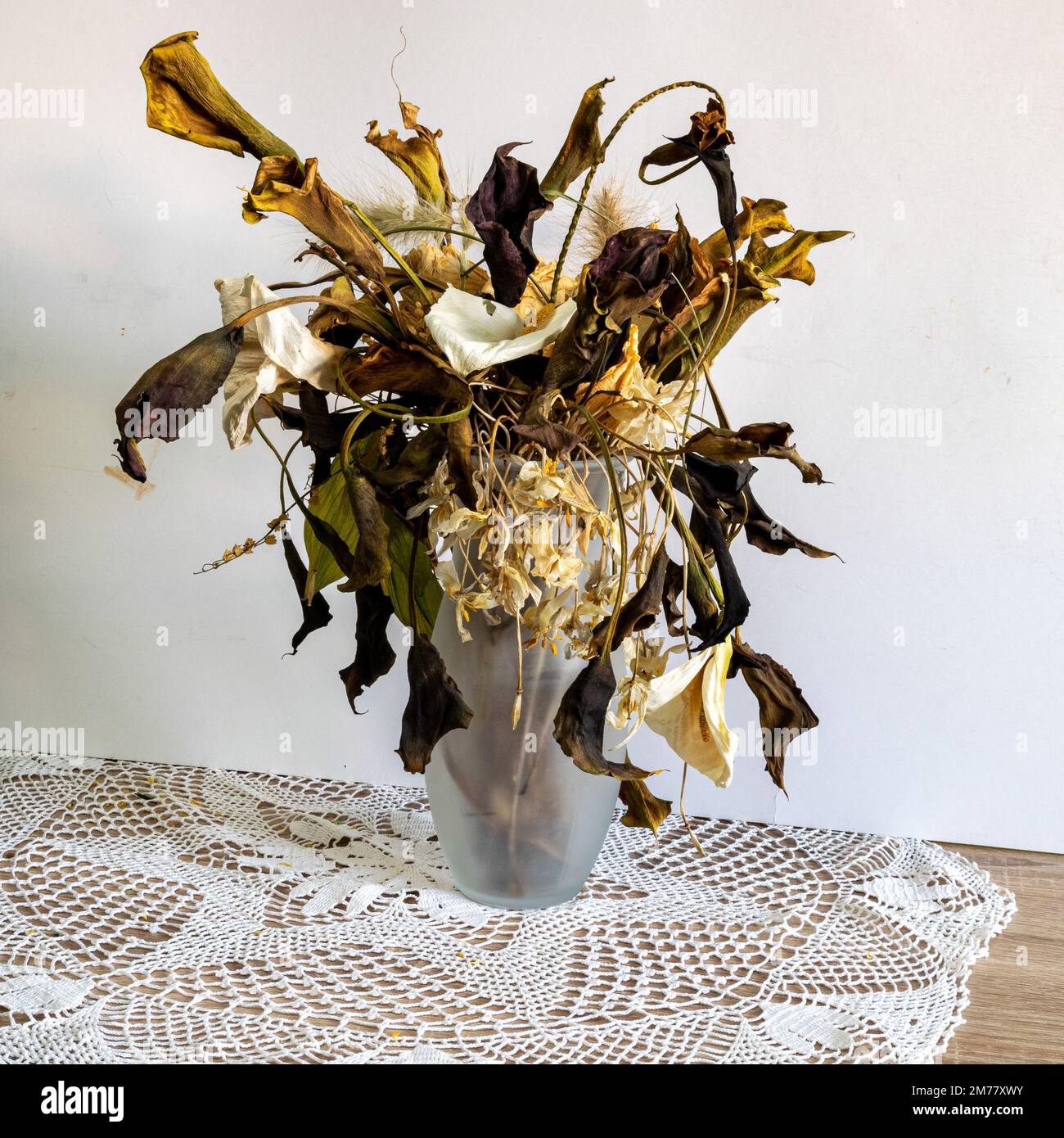 Foto mit Blumen in einer Vase, eine Zusammensetzung aus vielen verschiedenen Farben von trockenen, getrockneten Blumen und dekorativen trockenen Pflanzen Stockfoto