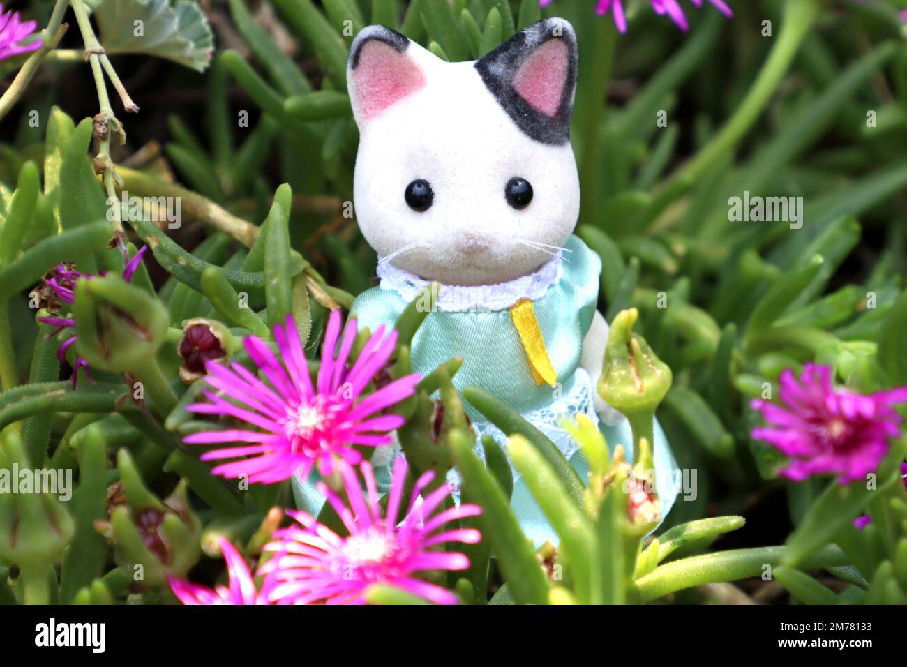 Eine Spielzeugkatze, die ein Kleid im Busch mit rosa Gänseblümchen trägt. Aus der Sammlung der Sylvanianischen Familie Stockfoto