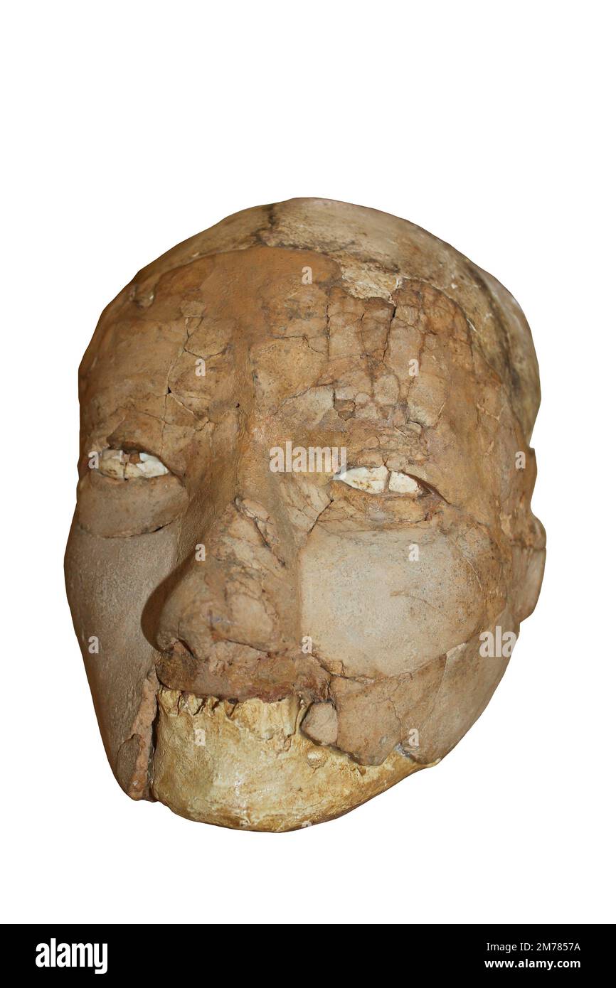 Verputzter menschlicher Schädel - Jericho, Jungsteinreich, zwischen 8.000 und 6.000 v. Chr Stockfoto