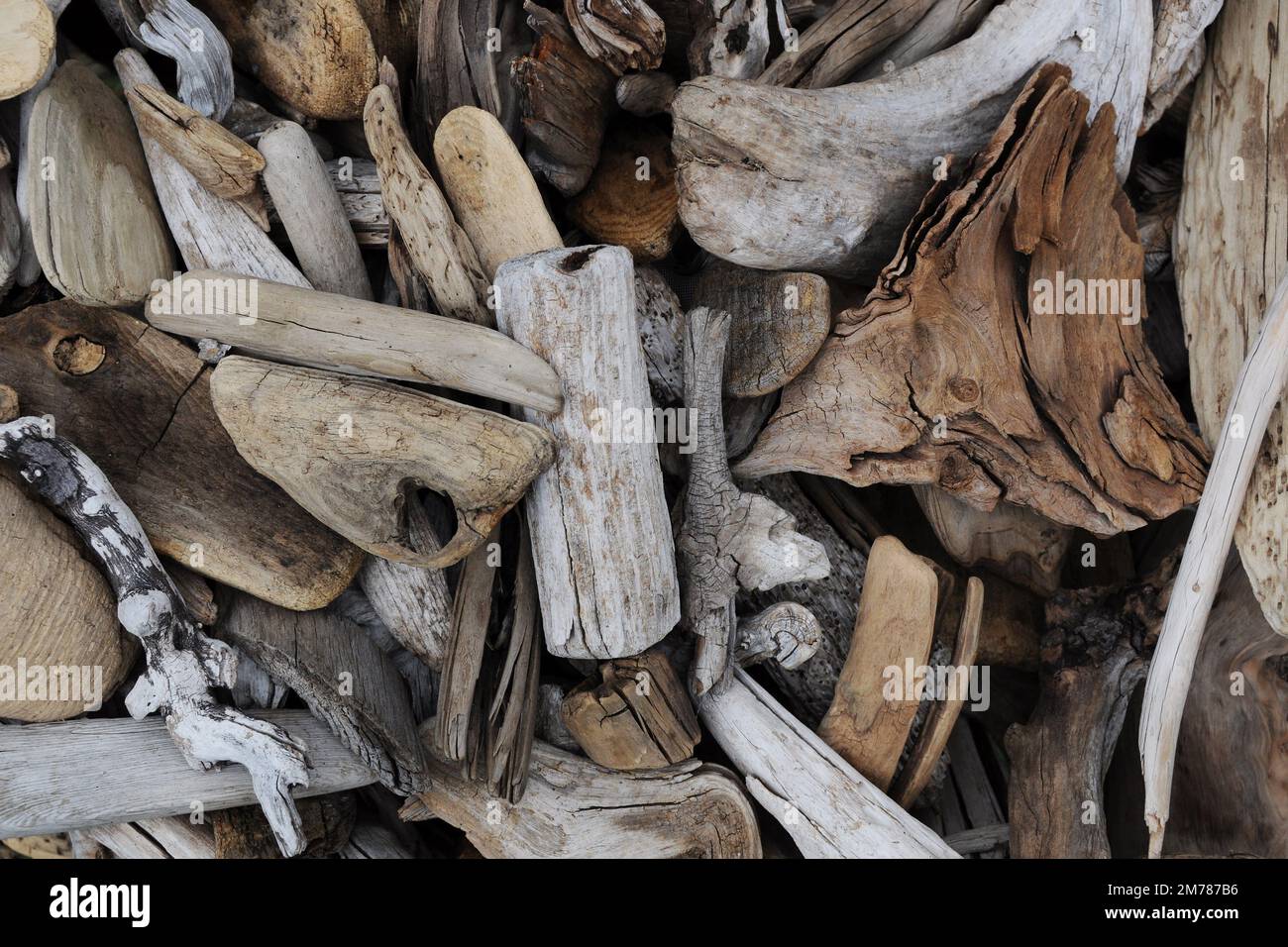 Ein Haufen verwittertes Treibholz. Viele Formen, einige grau, einige braun. Besonders glatt und abgerundet. Stockfoto