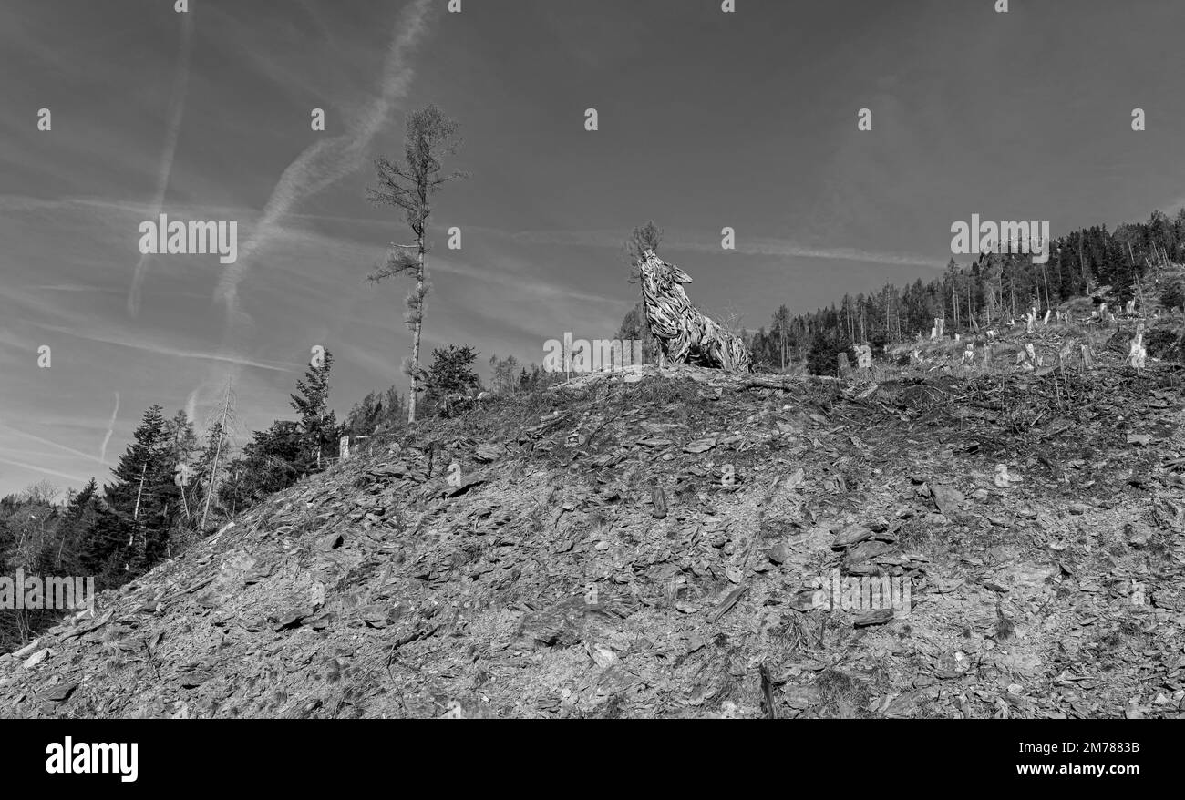 Lupa Vaia (Vaia Wolf). Holzskulptur mit zurückgewonnenem Holz aus dem Sturm Vaia (Zyklon Adrian) von Marco Martalar Vetriolo, Levico Terme, Trento Stockfoto