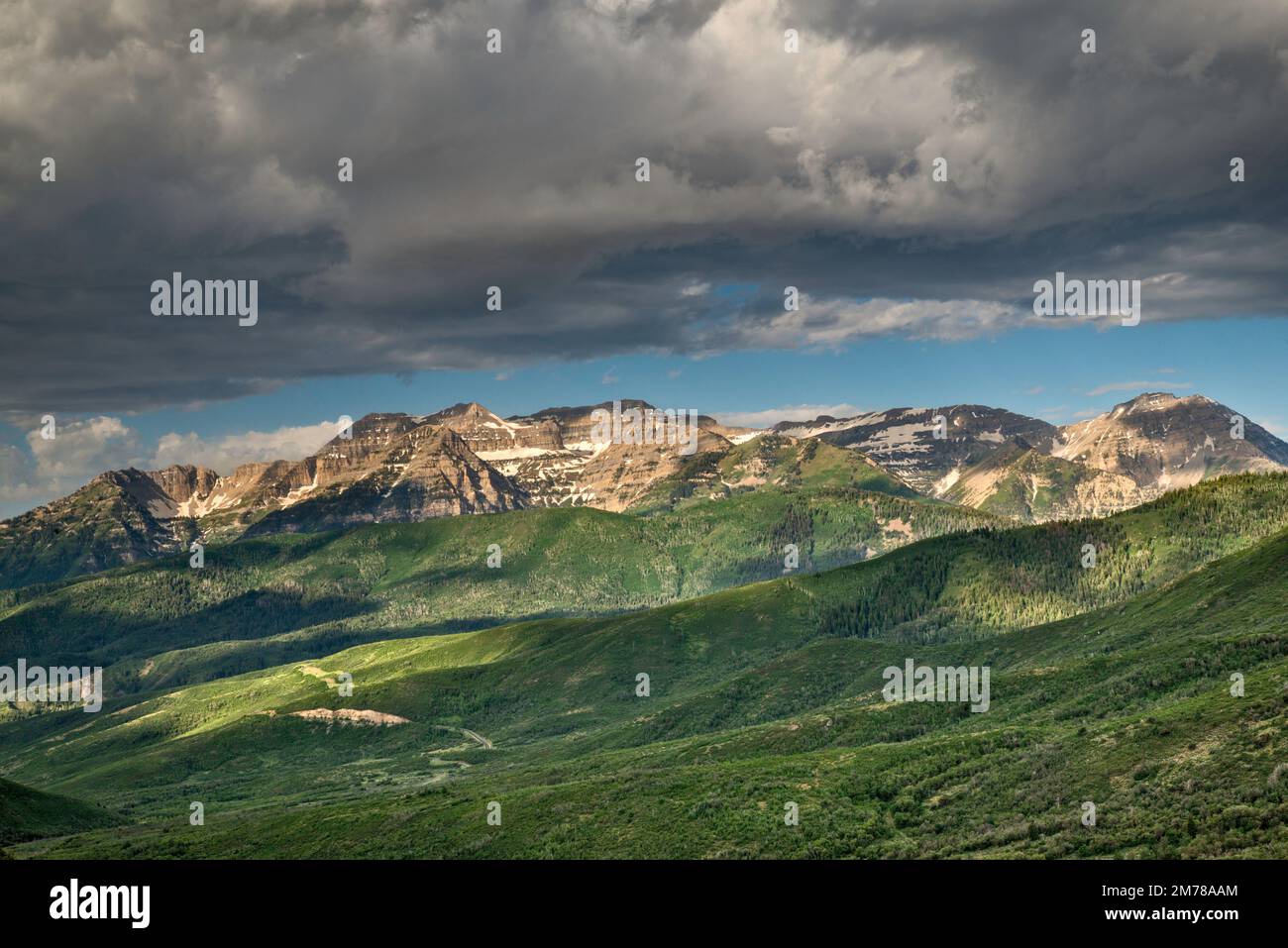 Mount Timpanogos Massiv, Blick vom Cummings Parkway Jeep Trail, Frühsommermorgen, Wasatch Mountain State Park, Wasatch Range, Utah, USA Stockfoto