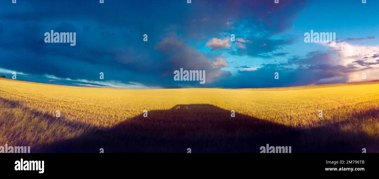 Die herbstliche Prärie im stark County, North Dakota, bietet lange Schatten eines Lastwagens, ein goldenes Stoppelfeld und dunkelblaue Regenwolken Stockfoto