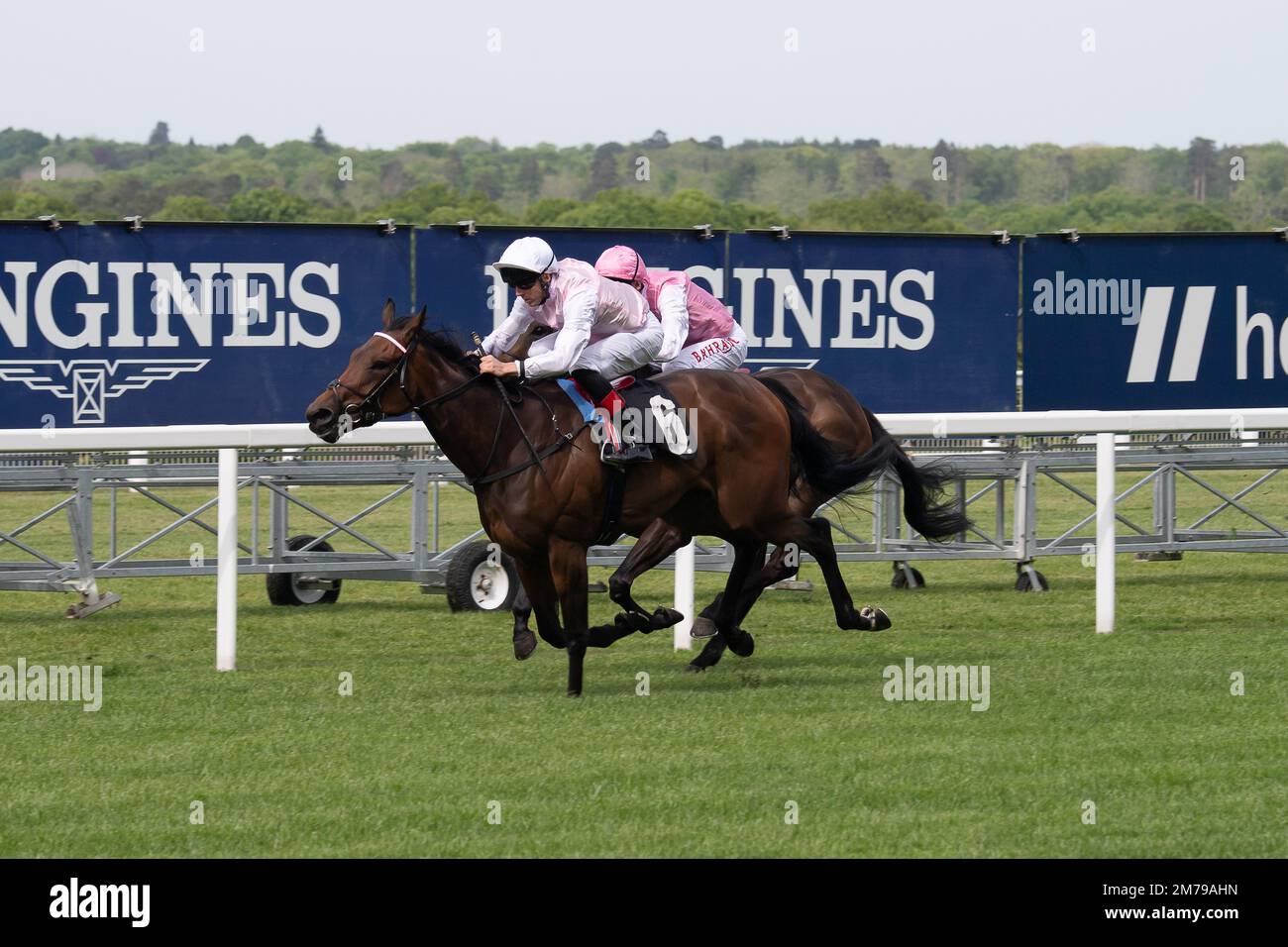 Ascot, Berkshire, Großbritannien. 6. Mai 2022. Pferd Judith geritten von Jockey Martin Harley gewinnt die Wette mit Ascot Spende Box Maiden Fillies Stakes auf der Ascot Rennbahn. Eigentümer, Breeder und Sponsor Normandie Stud Ltd Trainer John und Thady Gosden, Newmarket. Kredit: Maureen McLean/Alamy Stockfoto