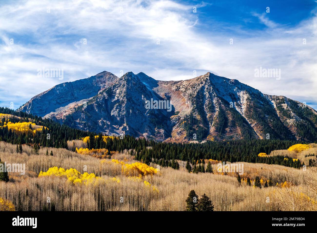 Herbstfarben; Aspen Bäume; Anthrazit Range; West Elk Mountains bei Kebler Pass; Colorado; USA Stockfoto