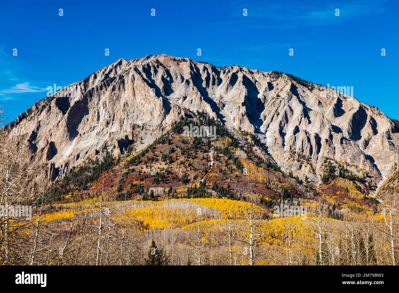 Herbstfarben; Aspen Bäume; Ruby Peak (12.644'); West Elk Mountains bei Kebler Pass; Colorado; USA Stockfoto