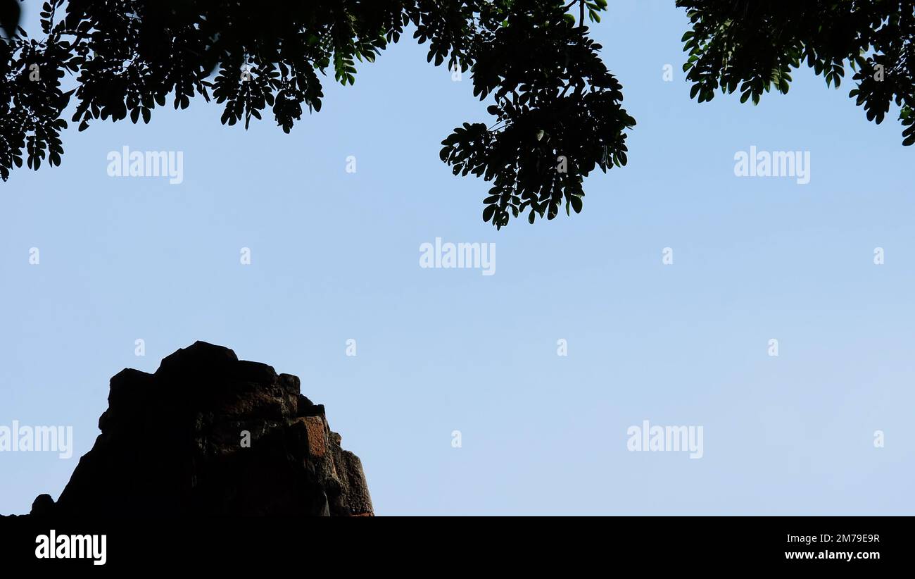 Außenfoto mit einer zerbrochenen Steinsäule unten links, üppigen Blättern darüber und blauem Himmel im Hintergrund. Mit Kopierbereich unten rechts Stockfoto