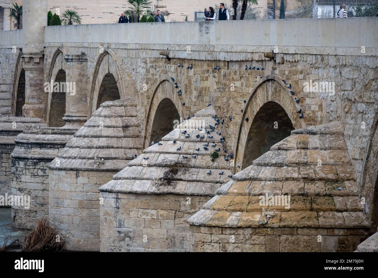 Die römische Brücke von Cordoba, die den Fluss Guadalquivir in Andalusien, Spanien, überquert Stockfoto