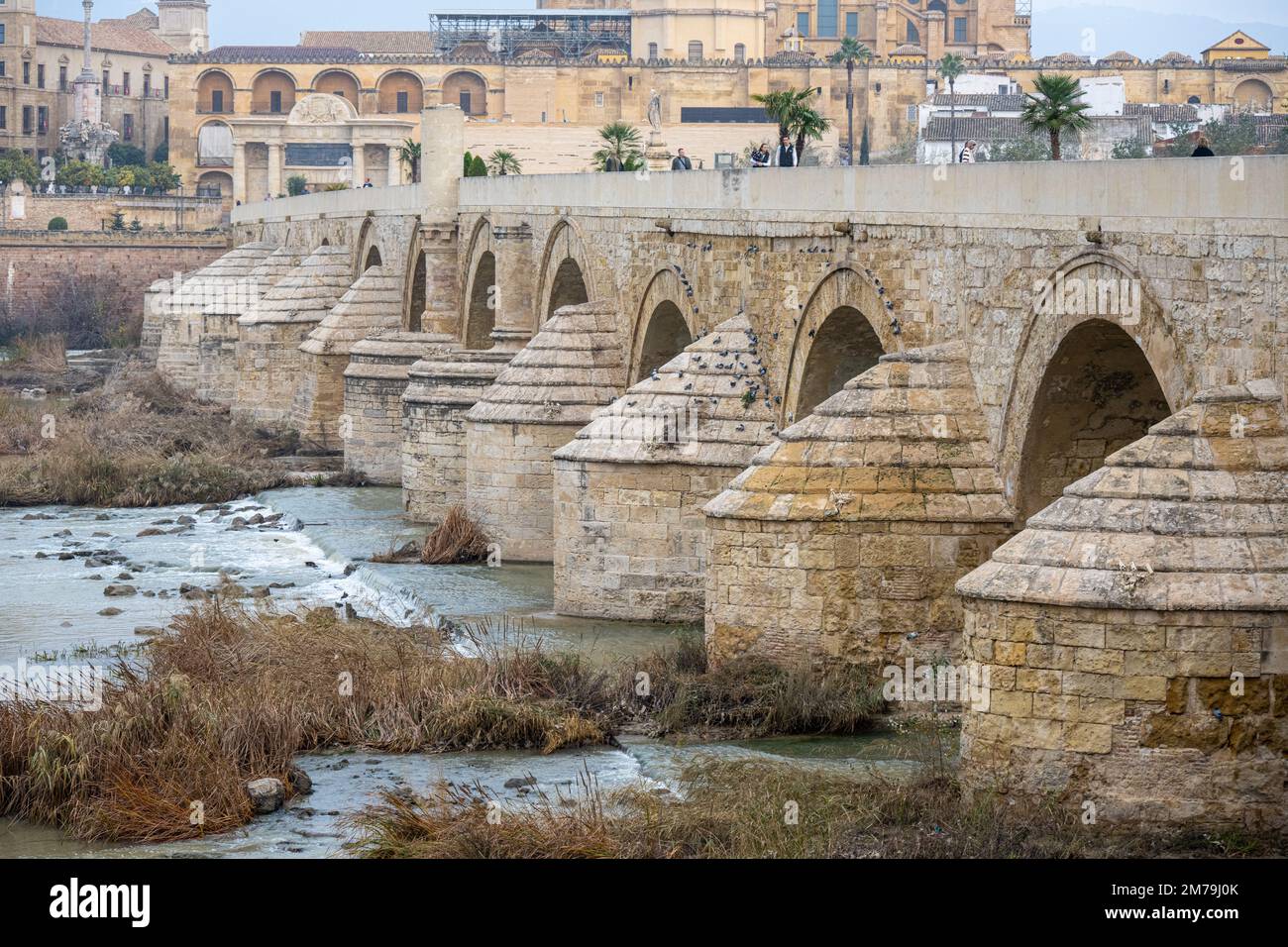 Die römische Brücke von Cordoba, die den Fluss Guadalquivir in Andalusien, Spanien, überquert Stockfoto