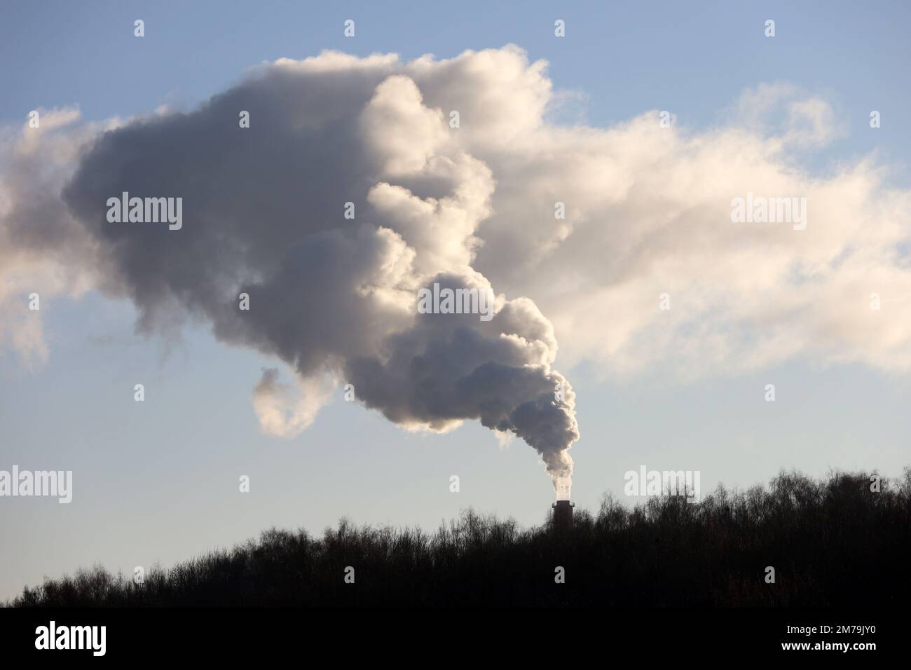 Pfeife mit Rauch über dem Winterwald. Gas- oder Kohleheizung, Schwerindustrie, Konzept der Luftverschmutzung Stockfoto
