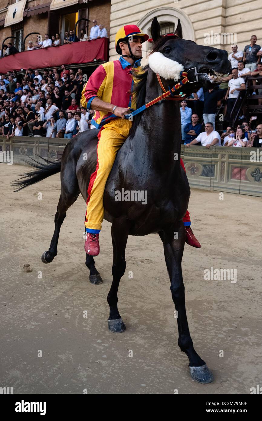 Siena, Italien - August 15 2022: Fantino Jonatan Bartoletti rief Scompiglio Jockey für Contrada Chiocciola Reitpferd beim Prova Trial Race for th an Stockfoto