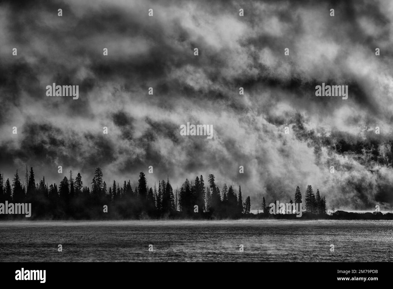 Amerika; Wyoming; USA; Yellowstone; Nationalpark; UNESCO; Weltkulturerbe; Sonnenaufgang am See Stockfoto