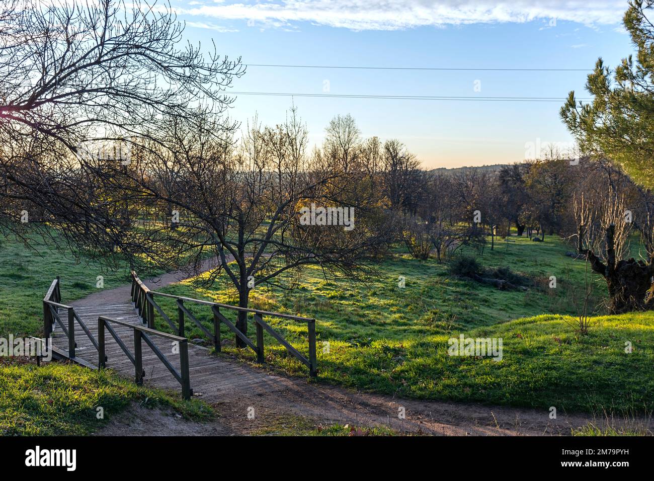 Wege im Park in El Escorial bei Sonnenaufgang Stockfoto