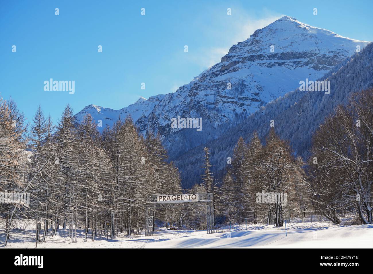 Bergwald mit schneebedeckten Tannen. Wunderschöne Außenlandschaft der Piedmont Alpen. Naturschönheit im Hintergrund Konzept. Stockfoto