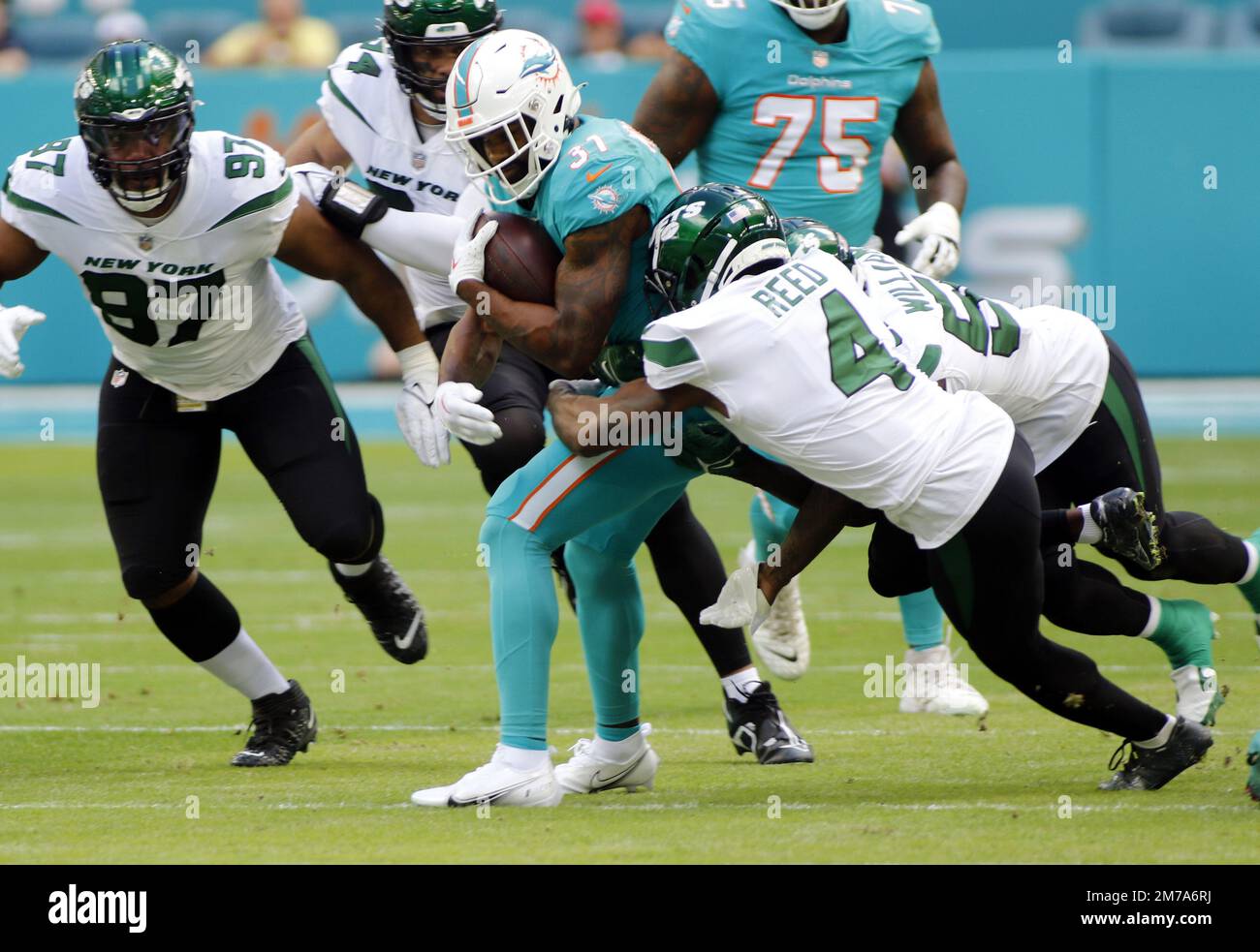 Miami Gardens, Usa. 08. Januar 2023. Raheem Mostert 31 ist Stopp meines D.J Reed 4 und Quincy Willams 56 im Hard Rock Stadium in Miami Gardens, Florida am Sonntag, 8. Januar 2023. Foto: Thom Baur/UPI Credit: UPI/Alamy Live News Stockfoto