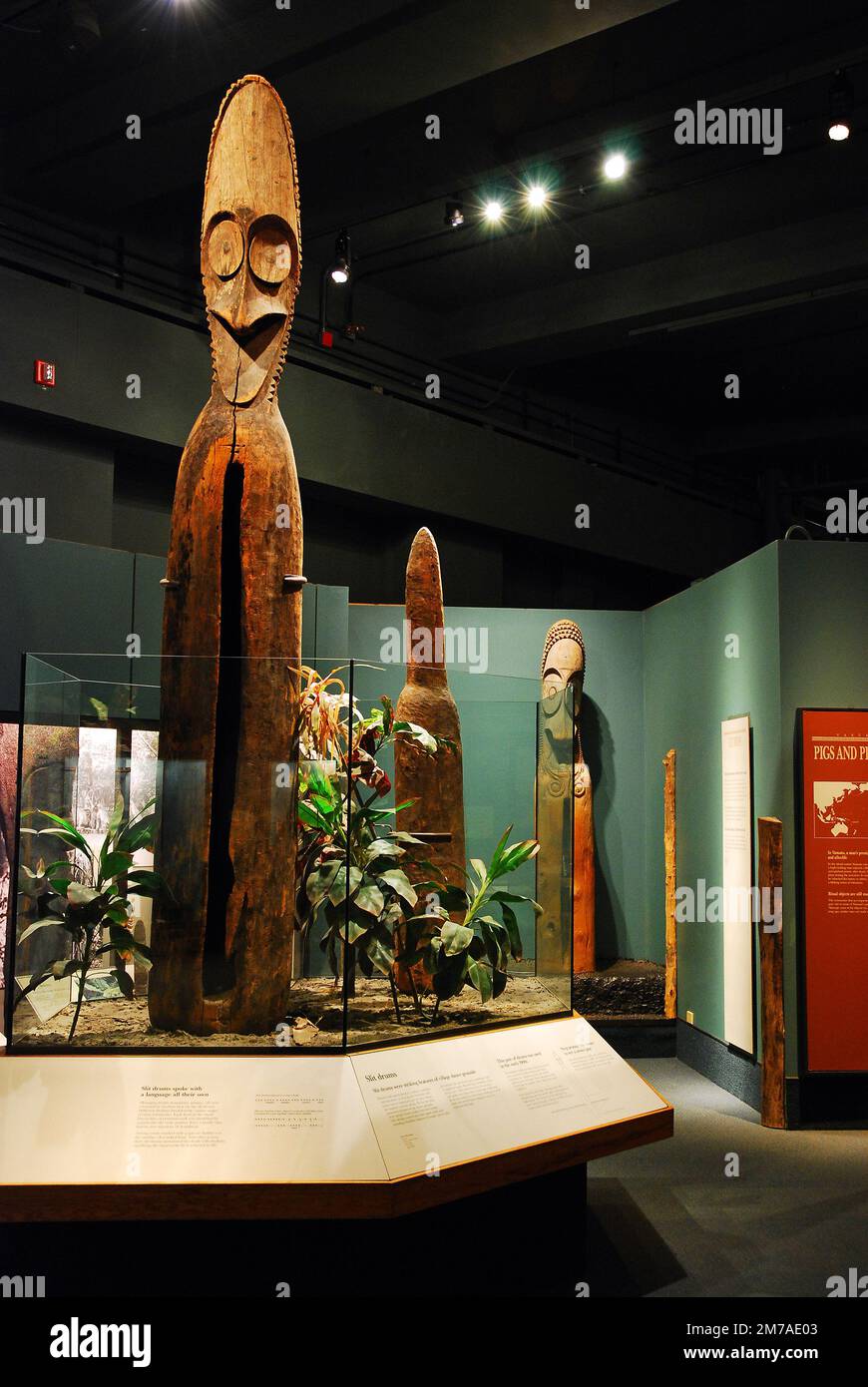 Einheimische polynesische Kunst im Field Museum in Chicago Stockfoto