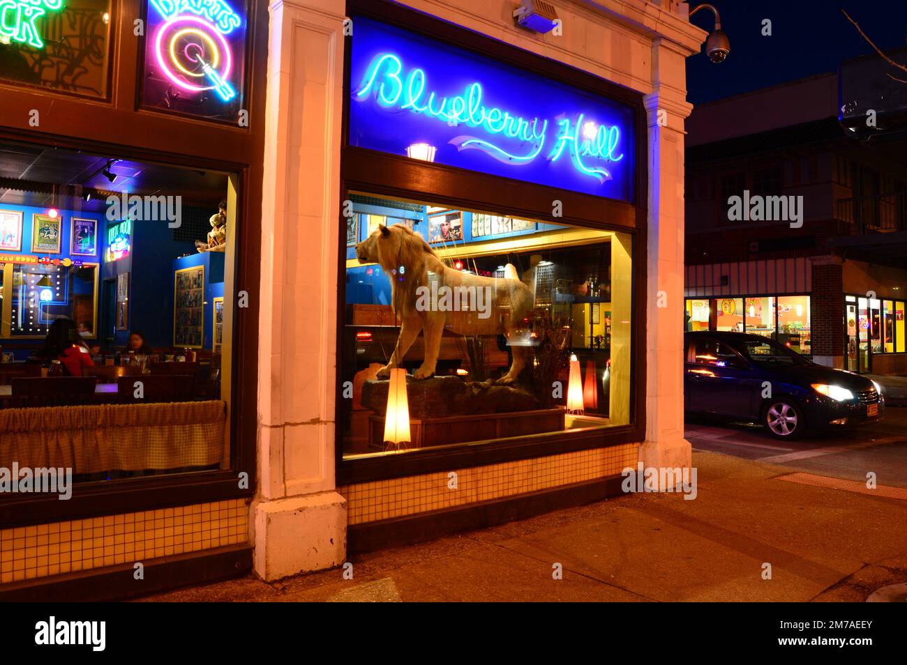 Ein ausgestopfter Löwe wird in einem Café im Blueberry Hill-Viertel von St. Louis, Missouri, dem Zentrum des Nachtlebens der Stadt, ausgestellt Stockfoto