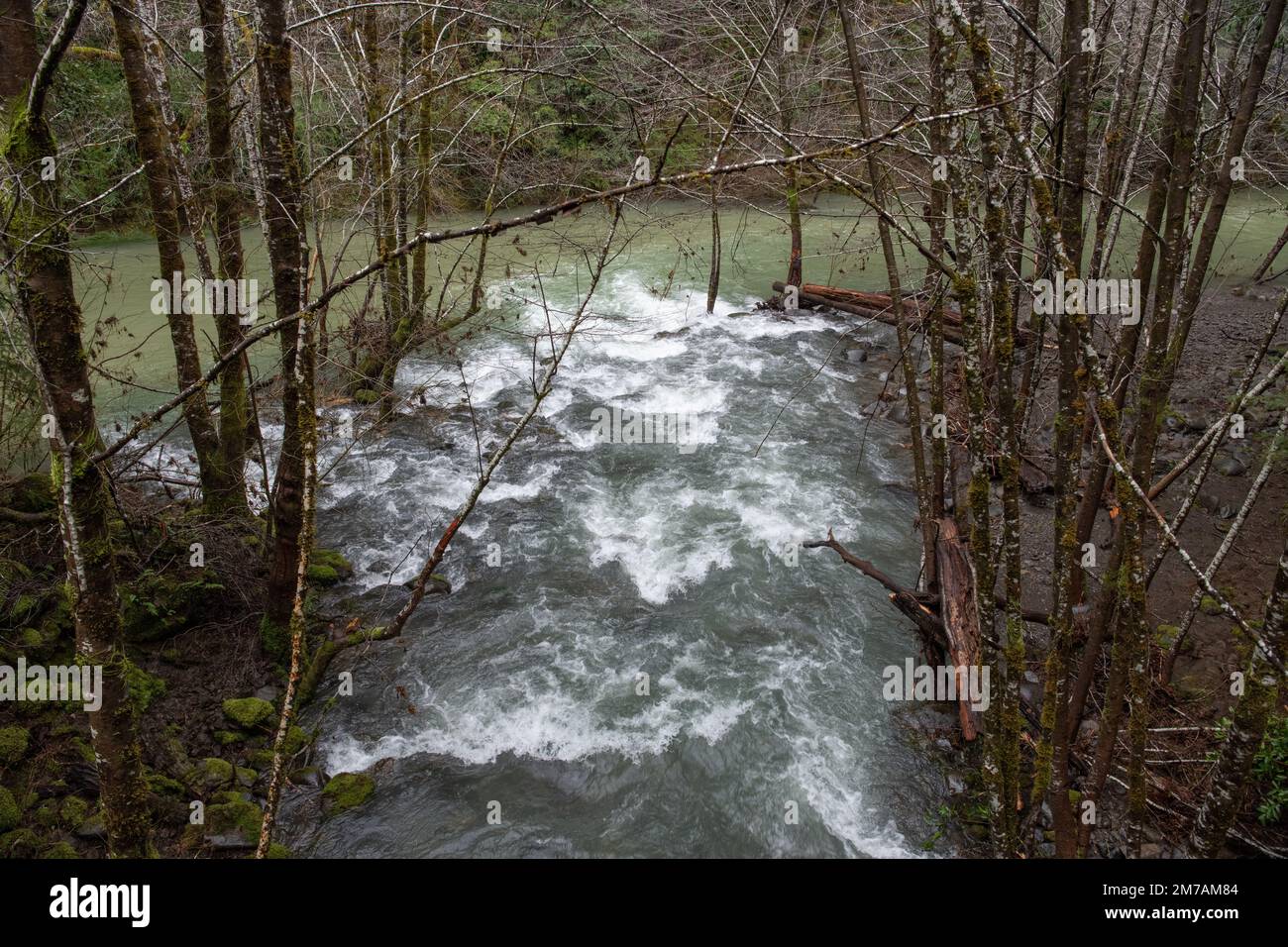 Der Zusammenfluss von Elder Creek und der Südgabel des Aals im Mendocino County, Nordkalifornien, USA. Stockfoto