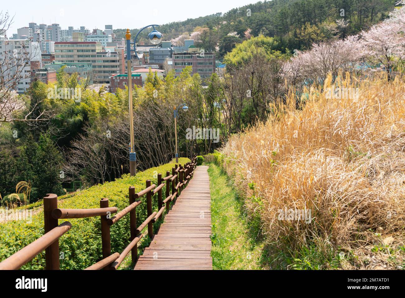 Gijang Yongso Well-Being Park und Blick auf die Stadt in Busan, Korea Stockfoto