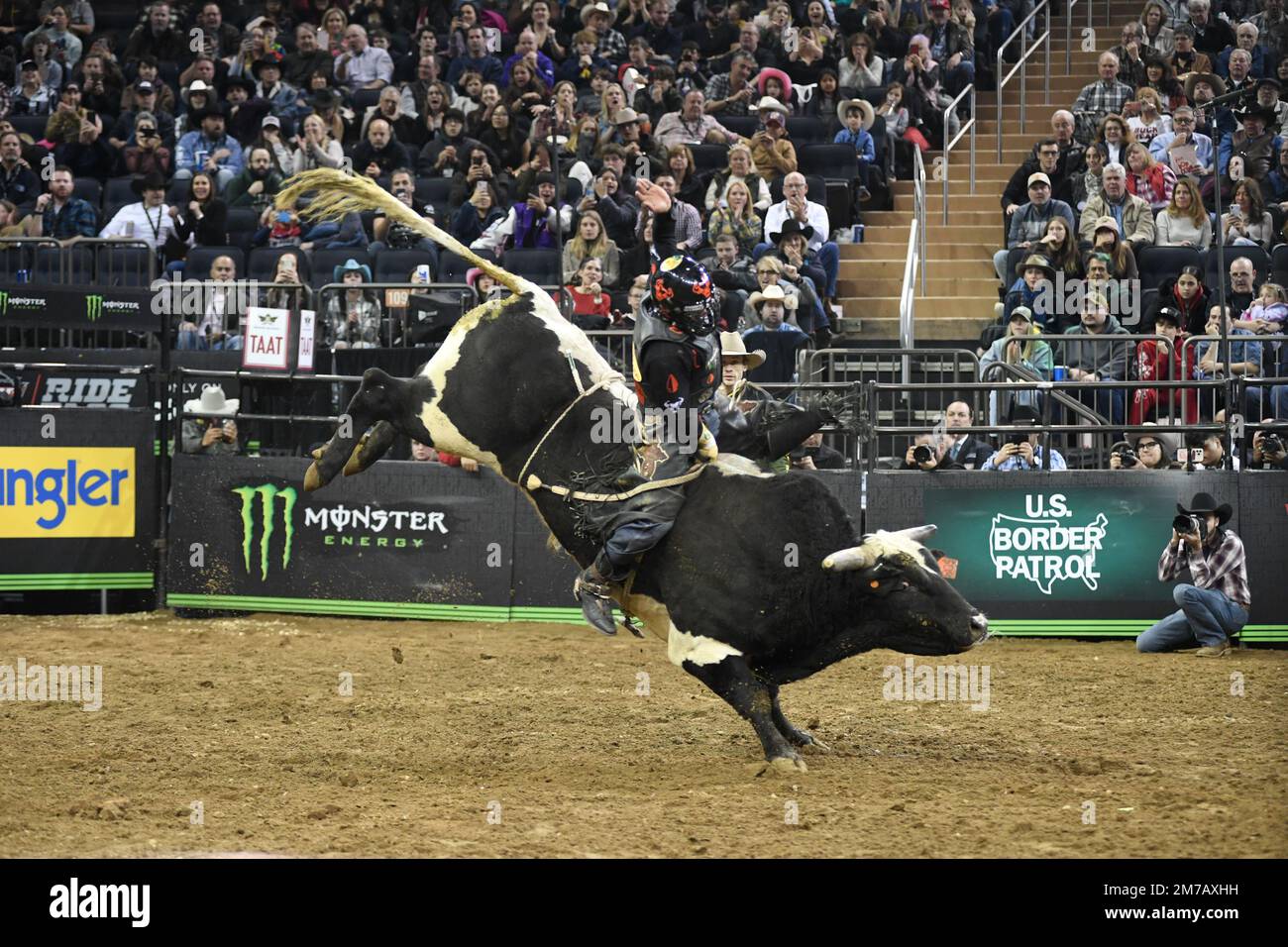 Professional Bull Rider Andrew Alvidrez fährt beim PBR Monster Energy „Buck Off“-Wettbewerb im Madison Square Garden, New York, New York, 8. Januar 2023 auf Bull Burn IT Down. PBR feierte seinen 30. Jahrestag im Madison Square Garden mit dem Wettbewerb vom 6. Bis 8. Januar. (Foto? Von Efren Landaos/Sipa USA) Stockfoto