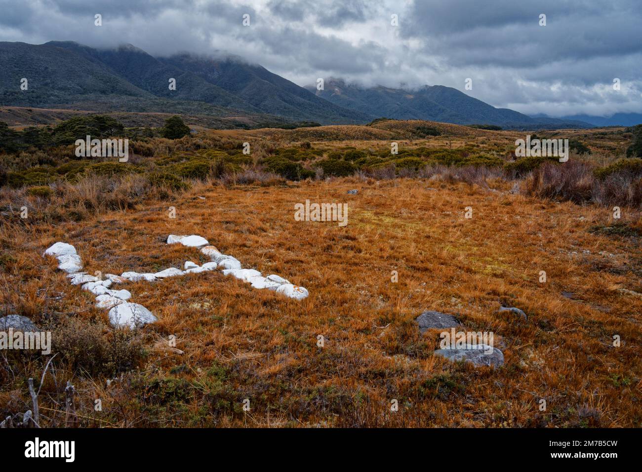 Ein großes weißes H auf einem Hubschrauberlandeplatz bei Gouland Downs Hut. Heaphy Track, Kahurangi National Park, Tasman Region, Südinsel, Aotearoa / New Z Stockfoto