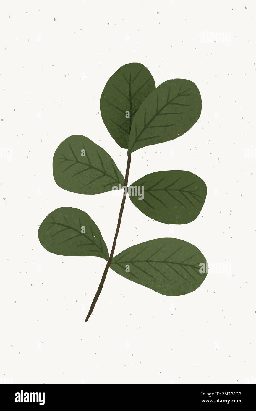 Zweig mit grünen Blättern Design-Element Stock Vektor