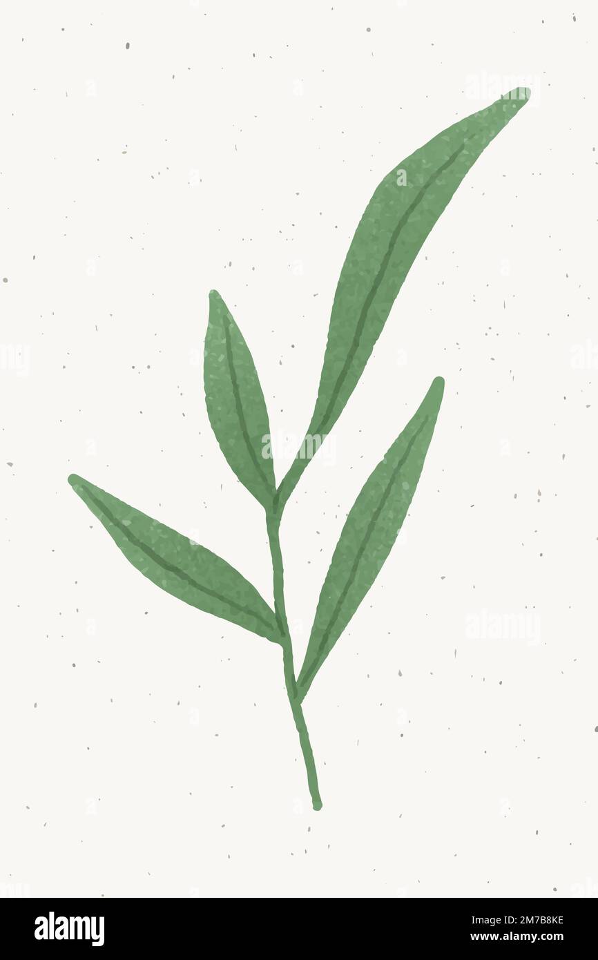 Zweig mit grünen Blättern Design-Element Stock Vektor